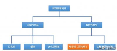 电子烟究竟是什么？国家支持吗？未来将何去何从？快来了解一下吧