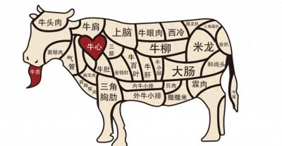 ​牛肉焯水需知：热水还是冷水？最佳拍档又是什么？