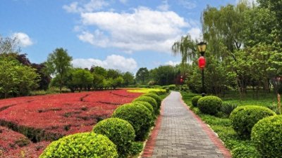 ​周末溜娃不犯愁！石家庄周边一日游攻略：5大宝藏地嗨玩一整天