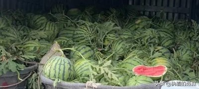 ​中国游5上海站：瓜果之乡南汇简介与景点