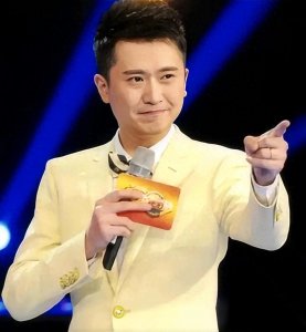 ​杨帆：央视舞台上的“遗珠”与“宝藏”