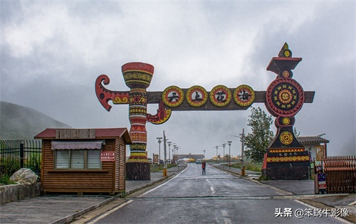 云上花海，贵州韭菜坪，堪称地球上唯一的紫蓝色韭菜花海