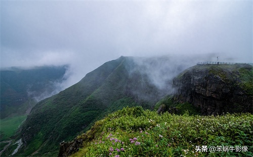 云上花海，贵州韭菜坪，堪称地球上唯一的紫蓝色韭菜花海