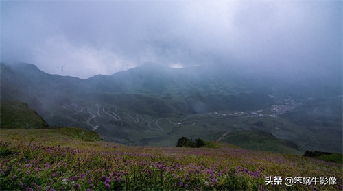 云上花海，贵州韭菜坪，堪称地球上唯一的紫蓝色韭菜花海