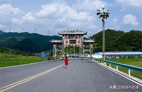 云上花海，贵州韭菜坪，堪称地球上唯一的紫蓝色韭菜花海