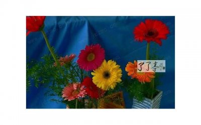 ​早安心语：没有人比你更美好，因为这个世界不会再有第二个你