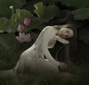 ​诗情画意，越南美人服饰奥黛欣赏