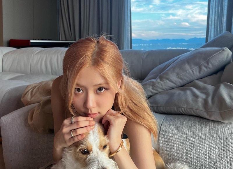 金牛座喜欢你会有什么样的表现 金牛座喜欢你会有什么样的表现