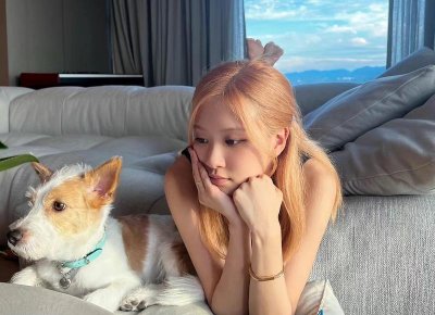 ​吹小号的天鹅的内容思维导图(吹小号的天鹅思维导图课)