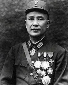 ​由白崇禧接替刘峙指挥国军徐蚌会战（淮海战役），结局会是如何？