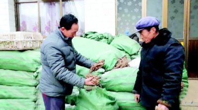 ​高光明:桑梓情怀洒满路