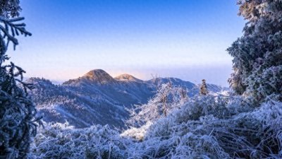 ​今年数九时间表来了！从哪天开始入九？