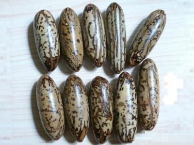 ​这几种菩提子打磨方法，让你立刻拥有好菩提！