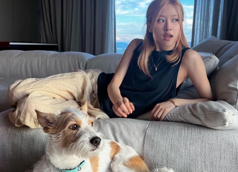 那种小说推荐一下(重生异世成为魔法学院的新生，求生之路新标题：魔法世界求生记)