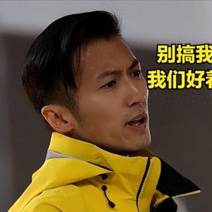 ​谢霆锋王菲张柏芝的三角恋最惨的是张柏芝从来没得到过真正的爱情