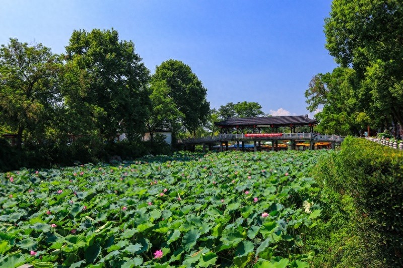 “寺院山门朝西开,见寺见塔不见山”千年古刹江苏镇江金山寺