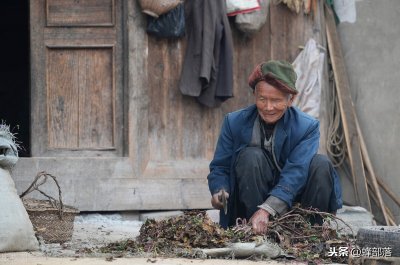 ​过去很多野草人都不吃，如今条件好了，为何反而吃起了“猪草”？