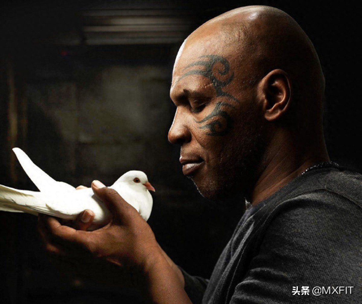 拳王泰森罕见的46张照片,与阿里同框,珍贵瞬间值得收藏