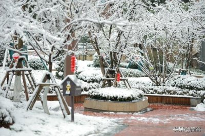 ​陆游《除夜雪》（除夜雪的作者是谁）