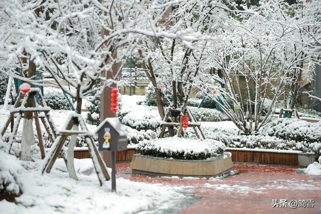 陆游《除夜雪》（除夜雪的作者是谁）(图1)