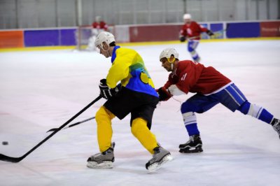 ​冰球十大打架视频回放(冰球十大打架巨星)