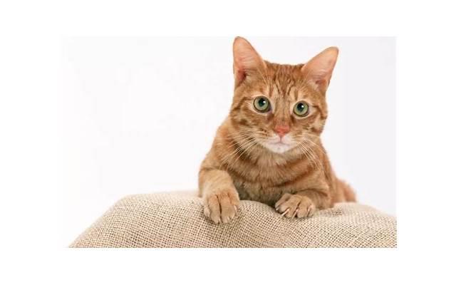 人到中年，劝你做个狠人，远离烂人烂事，坚持4种“狠”