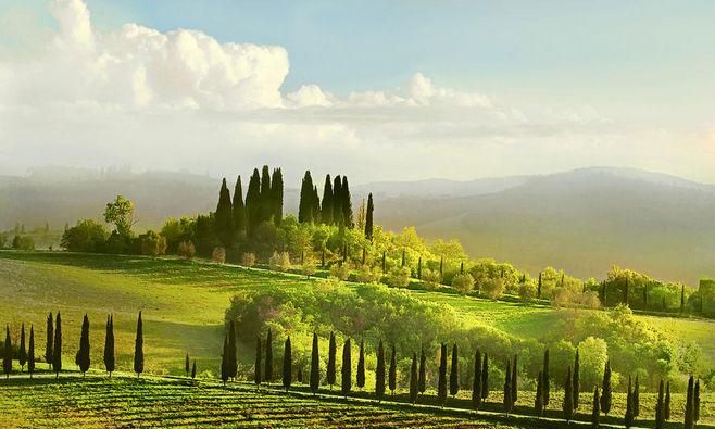 托斯卡纳是什么毛做的