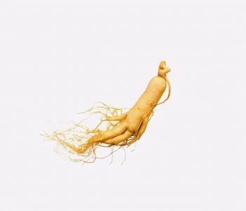 ​人参怎么挑选才是最好的？