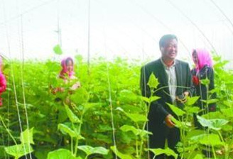 挂职是什么意思（挂职与任职的区别以及作用）