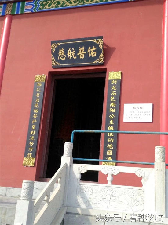 直击窦王岭大型山林文化景区