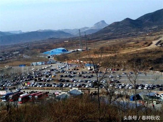 直击窦王岭大型山林文化景区