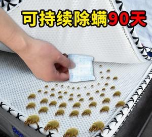 除螨包为什么会潮湿
