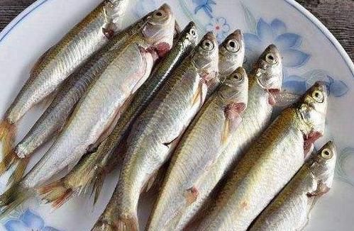 vivo手机背后面的白条有什么作用