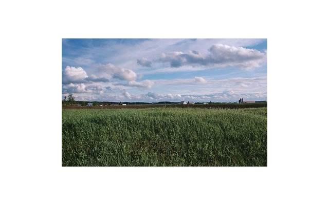 十个撩妹小技巧 十个撩妹小技巧