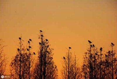 ​王勃个人生平（唐代奇才——王勃，才华横溢却英年早逝，短暂的一生令人扼腕）