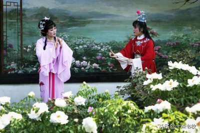 ​八七版《红楼梦》贾瑞扮演者马广儒死因的深层次研究