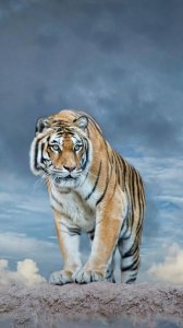 ​女生喜欢腹肌原因，大家怎么看待女生喜欢男生的腹肌