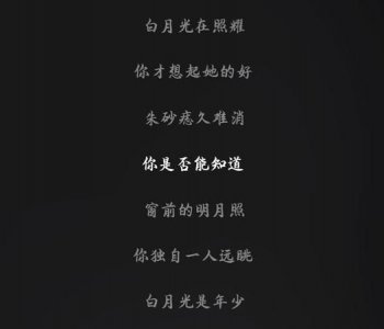 ​白月光朱砂痣的爱情含义，白月光与朱砂痣爱国版意义？