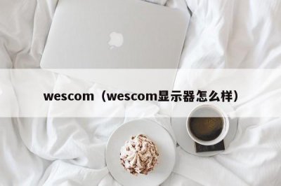 ​wescom（wescom显示器怎么样）