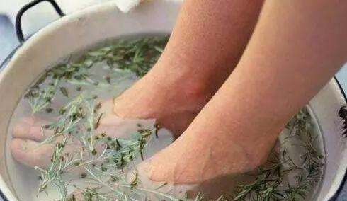 艾草熏房间有什么作用,屋里点艾柱有什么用图3