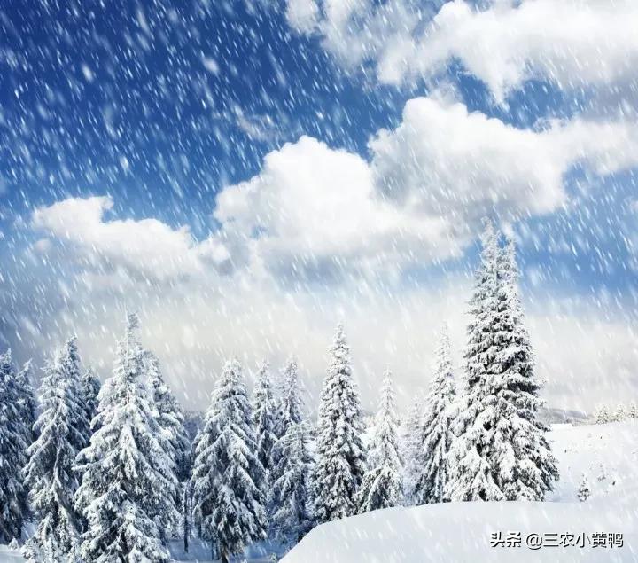 二十四节气春分的含义是什么（2022年春分节气的特点）