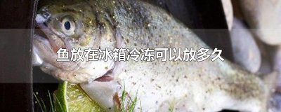 ​鱼放在冰箱冷冻可以放多久