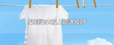 ​桑葚染衣服上能洗掉吗