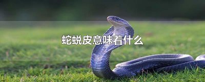 ​蛇蜕皮意味着什么