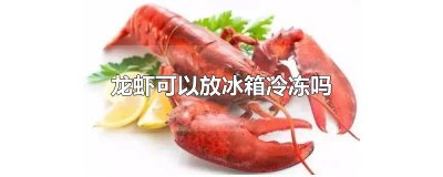 ​龙虾可以放冰箱冷冻吗