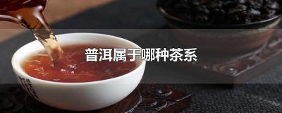 ​普洱属于哪种茶系