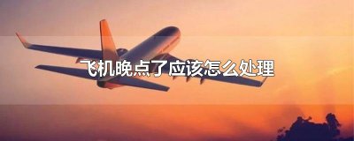 ​飞机晚点了应该怎么处理