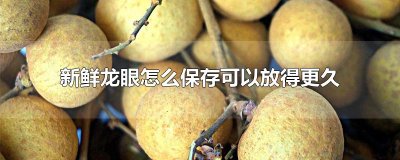 ​新鲜龙眼怎么保存可以放得更久