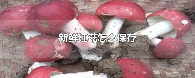 ​新鲜红菇怎么保存