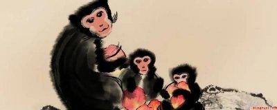 ​童心未泯打一动物（童心未泯打一动物的答案是猴）